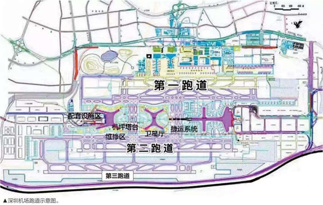 沙田区中学排名及教育实力深度解析