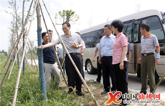 湖北刘新池最新动态，探索与奋进的新征程启航