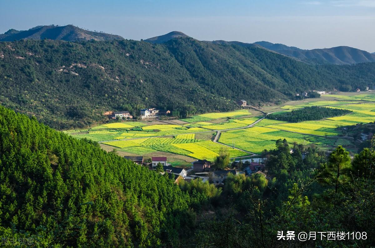 水口山镇未来蓝图，最新规划图引领城镇发展之路