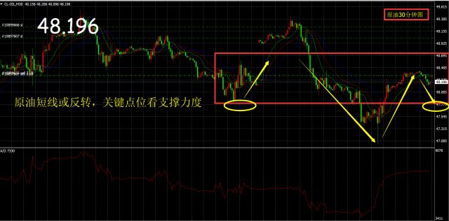 磅日最新走势解析