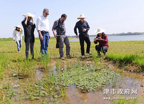 毛里湖国家湿地公园最新进展概览