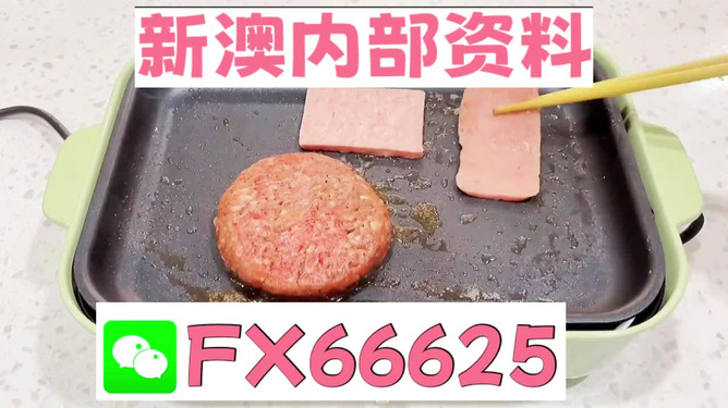 新澳门一码中精准一码免费中特,动态解读说明_Prime19.672