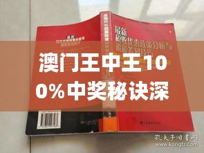 澳门王中王100,高度协调策略执行_Plus52.172