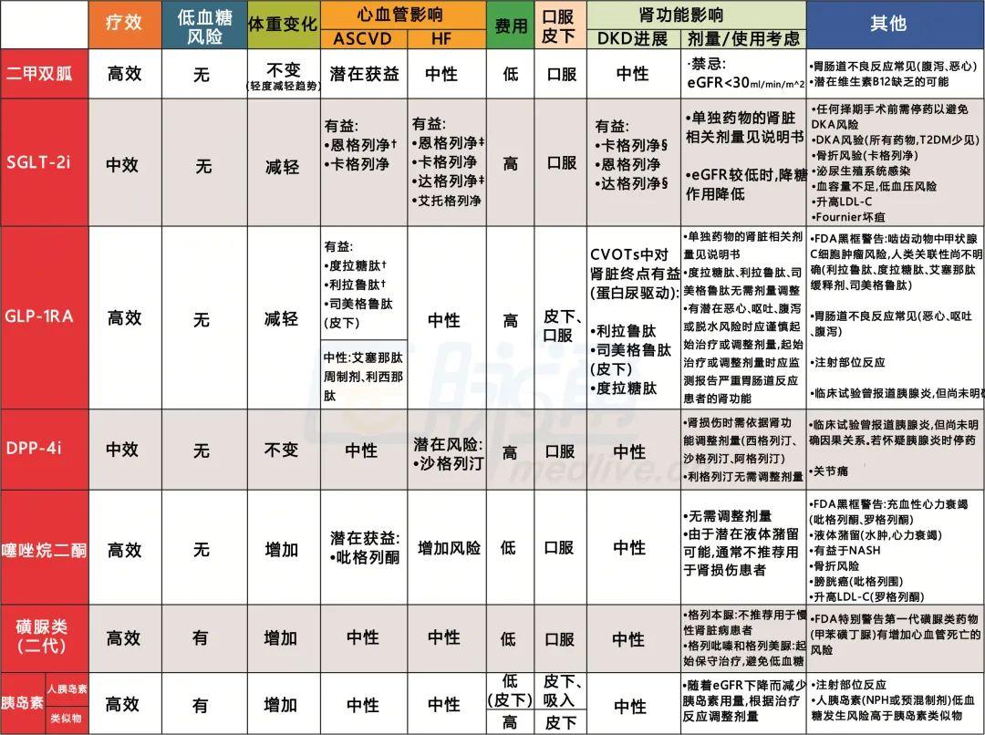 数字化时代下的药物信息查询与下载服务