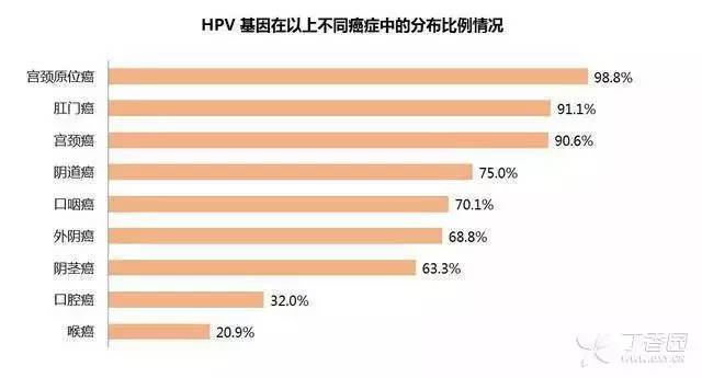 香港免费大全资料大全,数据解析计划导向_尊享版32.953