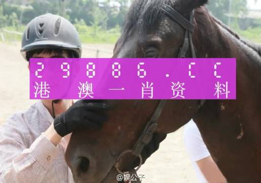 今晚澳门最准一肖一码,灵活操作方案_冒险版89.965