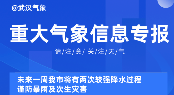 新澳天天开奖资料大全62期,可持续执行探索_专属款12.291