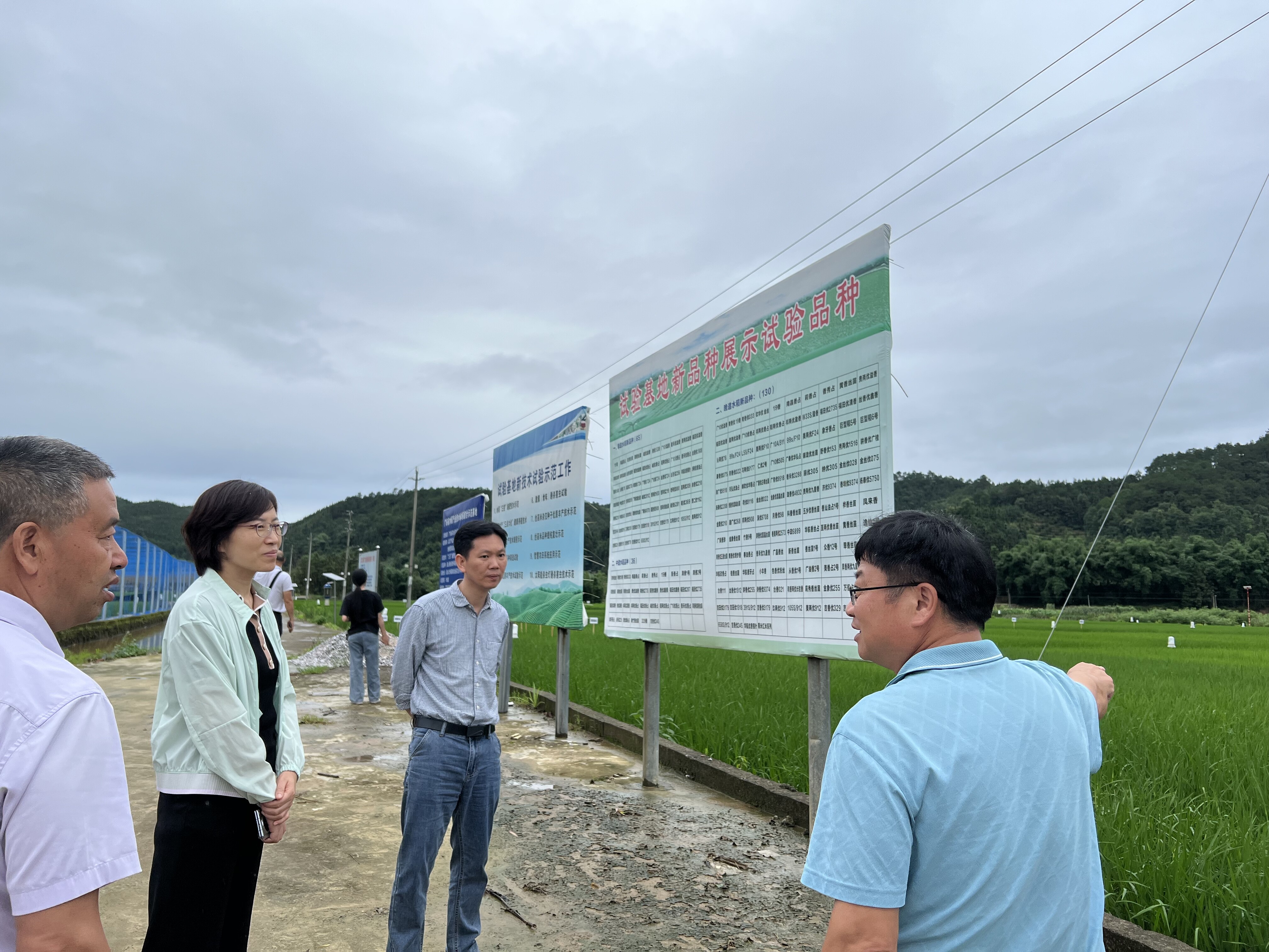 连山壮族瑶族自治县农业农村局发布最新新闻报告