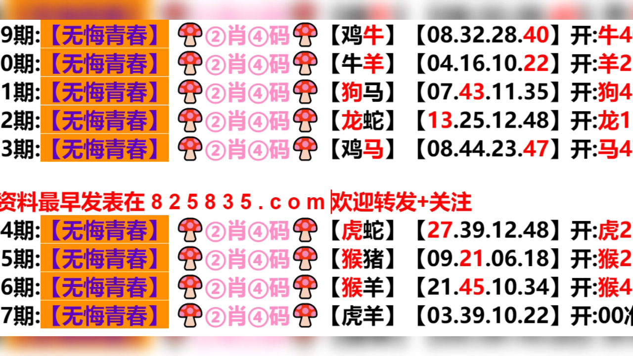 2024新奥历史开奖结果查询澳门六,动态词语解释落实_标准版3.66