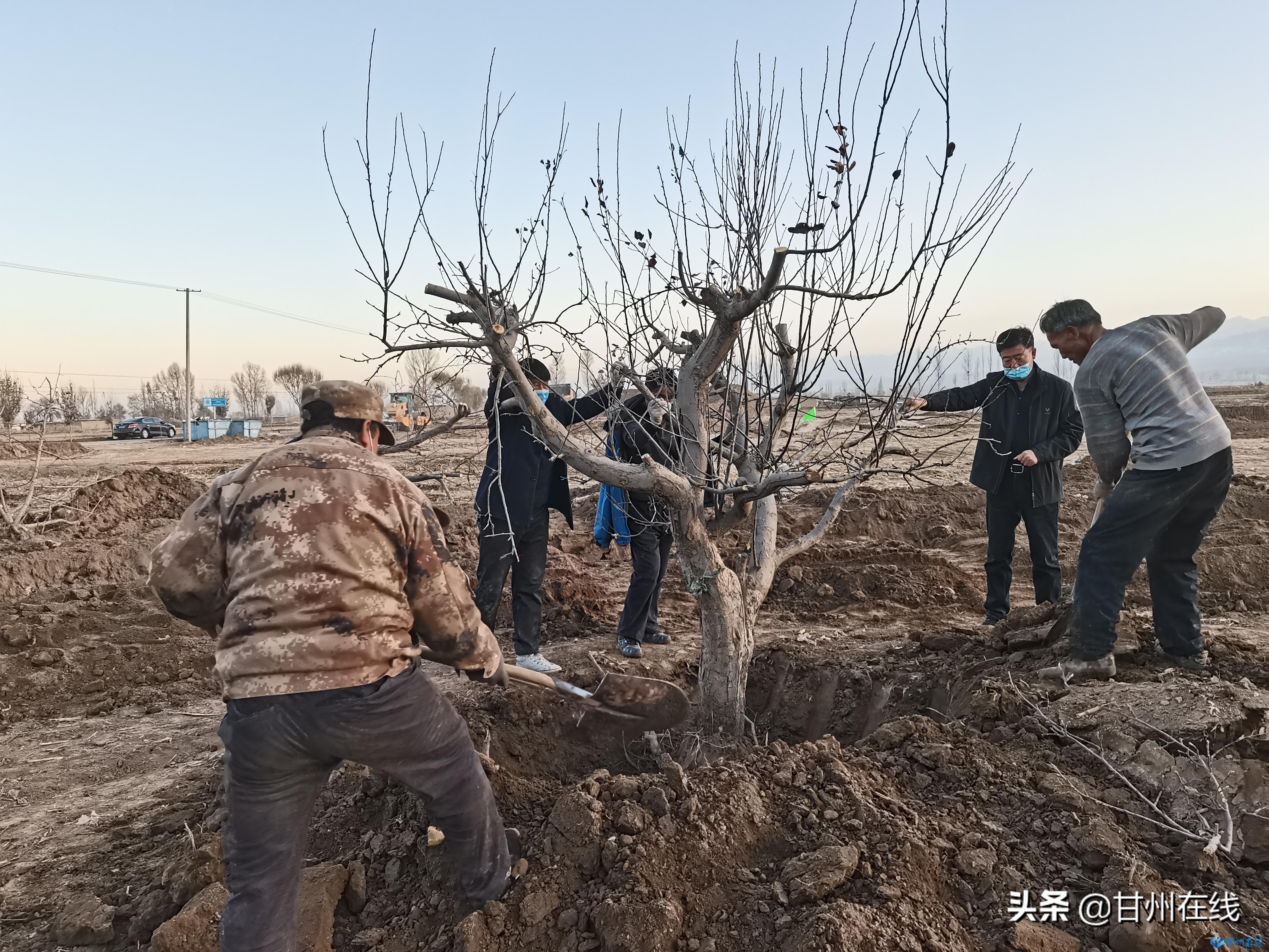 杨家闸村委会领导团队最新概况及工作概述