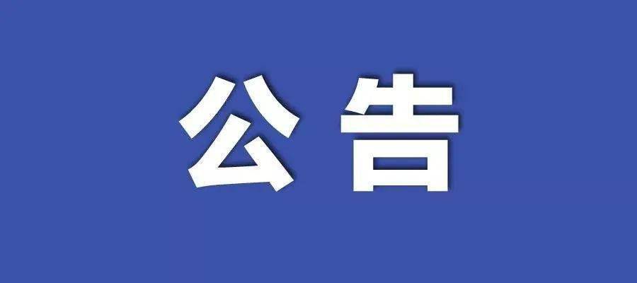 2024年新跑狗图最新版,机构预测解释落实方法_工具版6.632