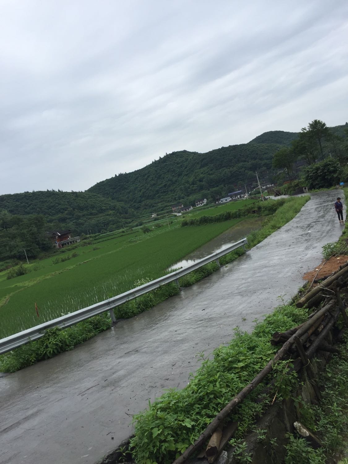 舀水村委会天气预报更新通知