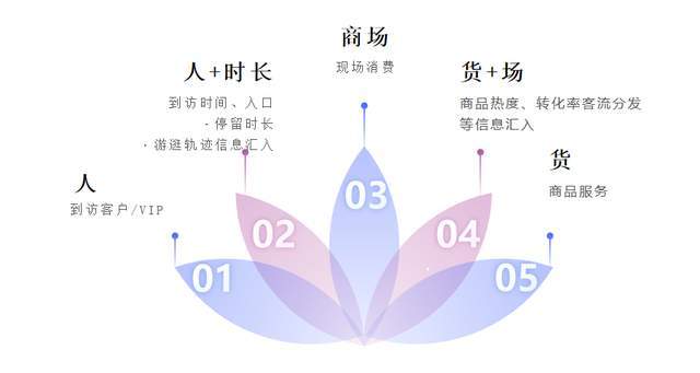 澳门花仙子官网,数据解析导向设计_战略版49.292