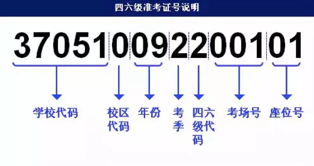 澳门六开奖结果2024开奖,安全性计划解析_Nexus65.702