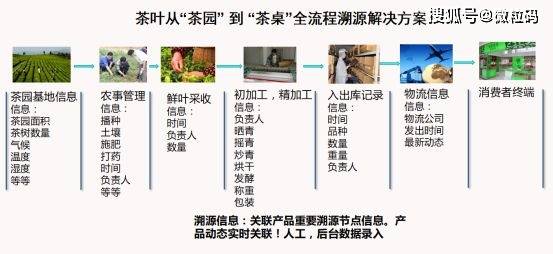 黄大仙一码一肖100,实地验证分析策略_复古版77.340