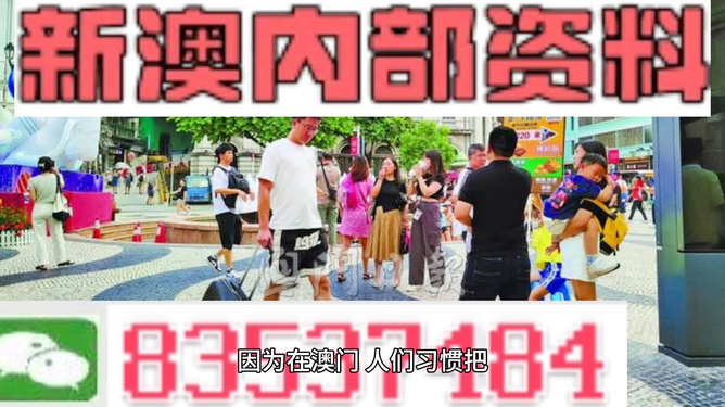 2024澳门正版免费精准大全,深入数据执行应用_豪华版180.300