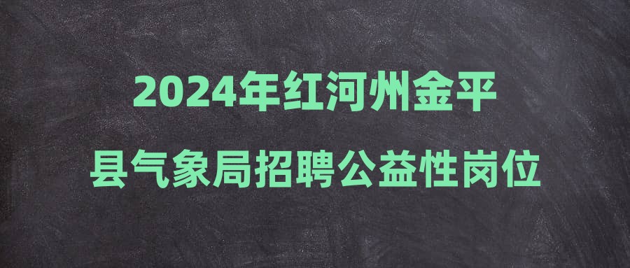 红河县统计局最新招聘启事及相关内容概述