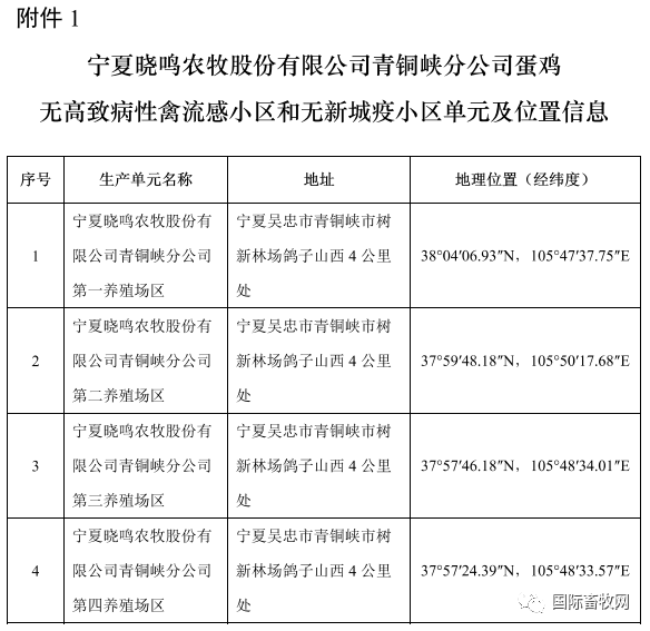 精准三肖三期内必中的内容,安全策略评估_免费版13.224