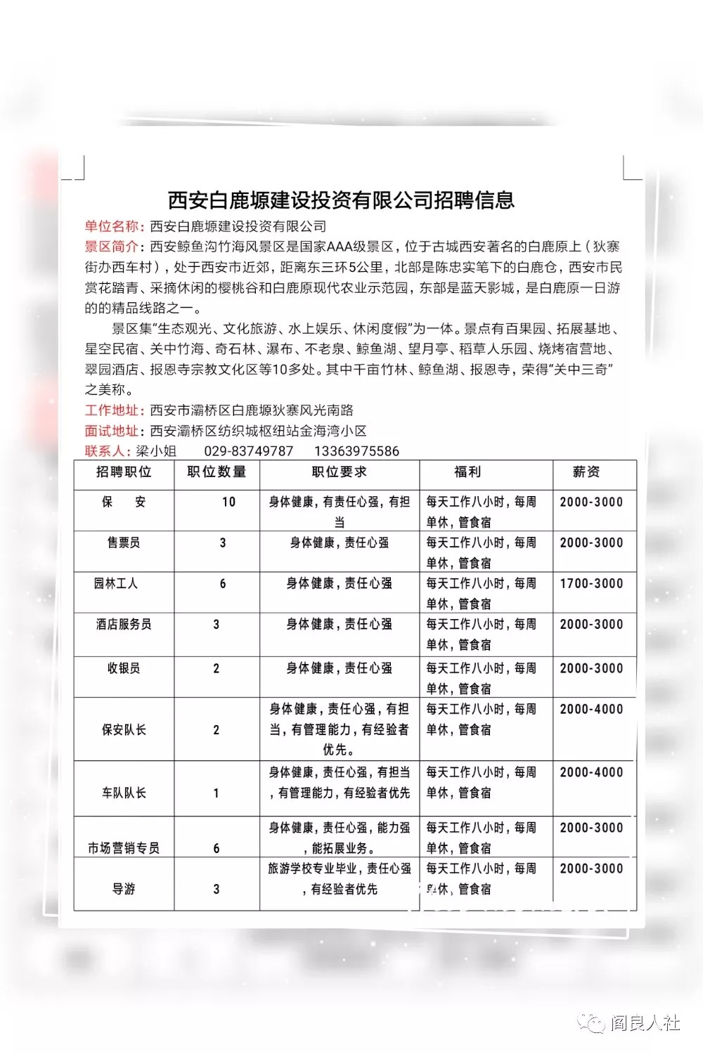 西工区人民政府办公室最新招聘信息全面解析