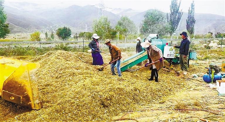 茶巴拉村新任领导引领乡村开启繁荣新篇章