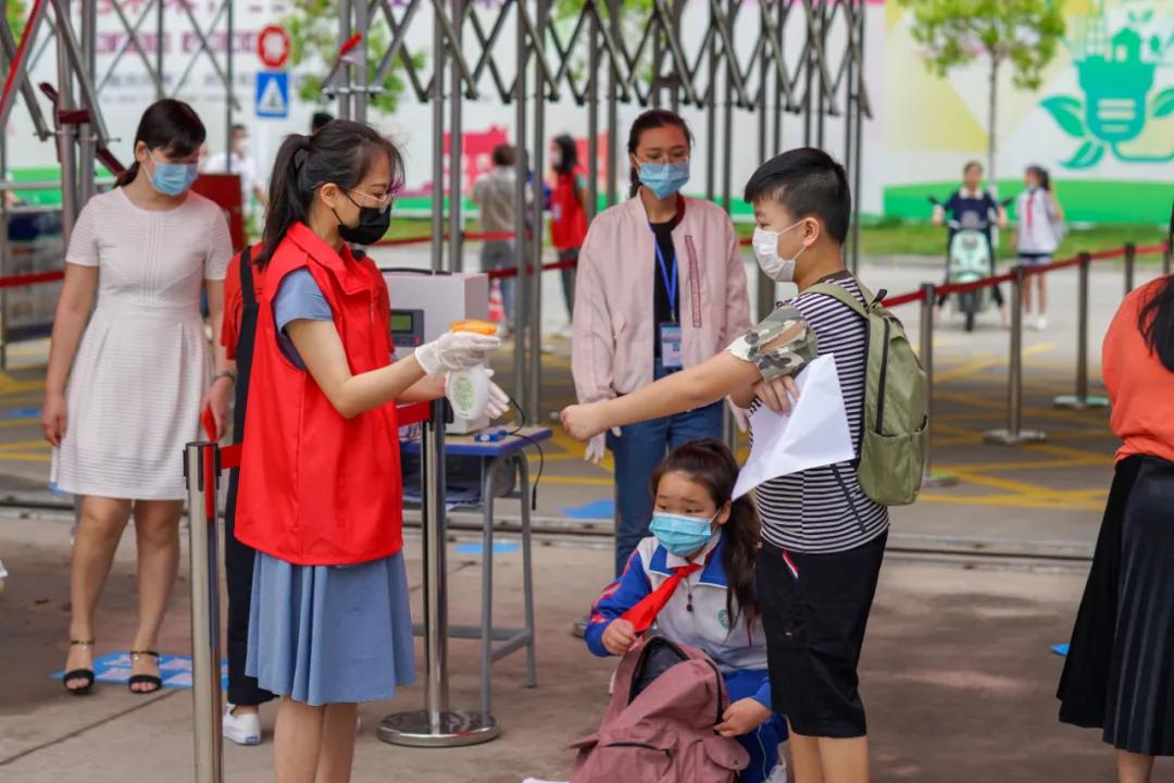 龙文区小学未来教育蓝图发展规划揭晓，塑造未来教育新篇章