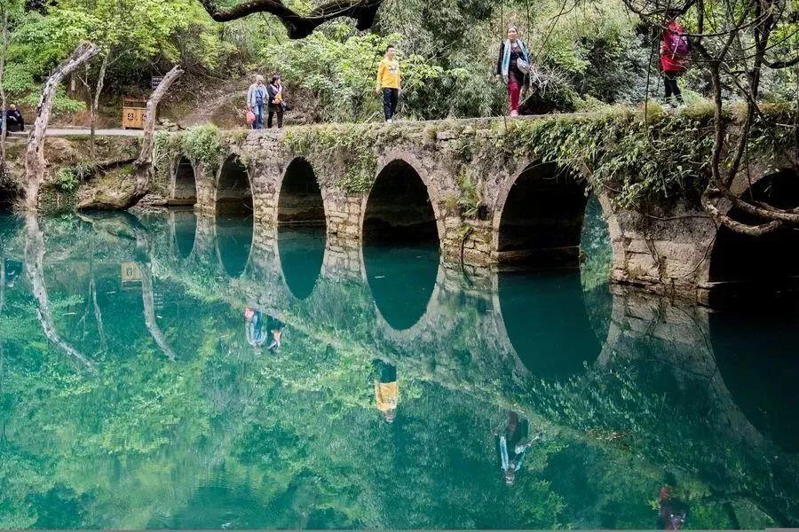 荔波县医疗保障局最新项目概览