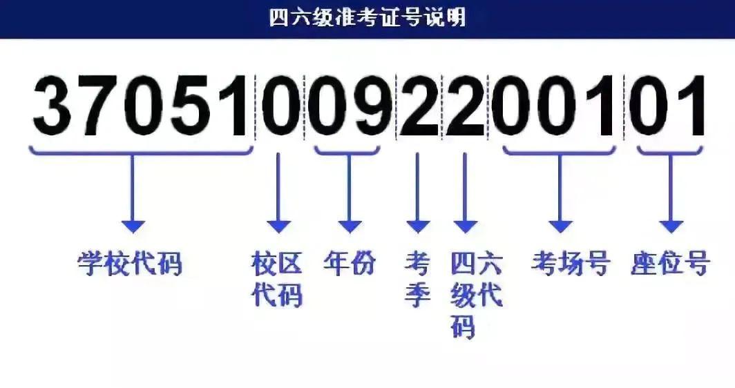 白小姐三肖三必出一期开奖,迅速解答问题_钻石版49.336