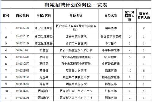 平江县县级托养福利事业单位发展规划概览