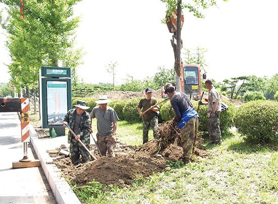 丹东市园林管理局最新动态报道