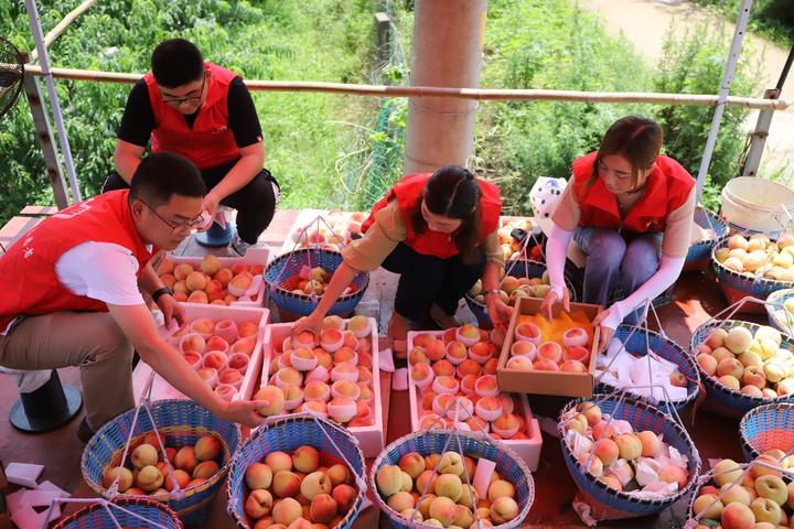 西塞山区公路运输管理事业单位发展规划展望