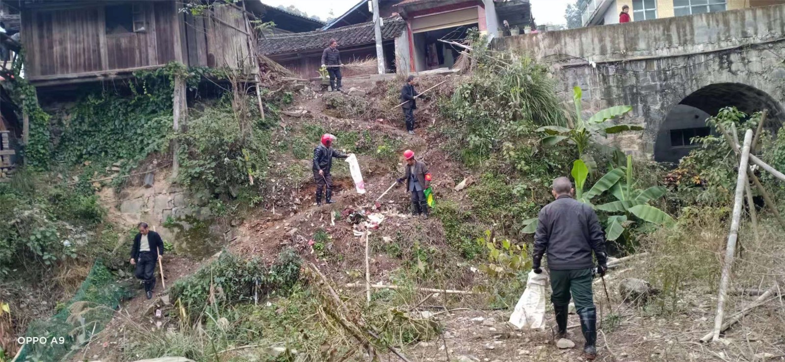 炮团侗族苗族乡新项目，地方繁荣与民族共荣的新引擎