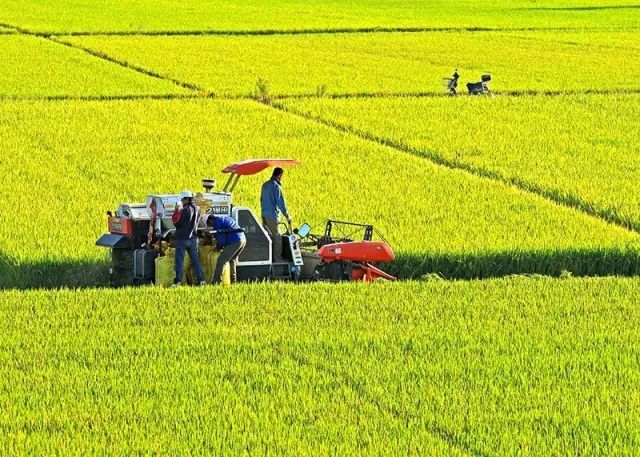 东山湖农场领导团队引领农场开启新篇章