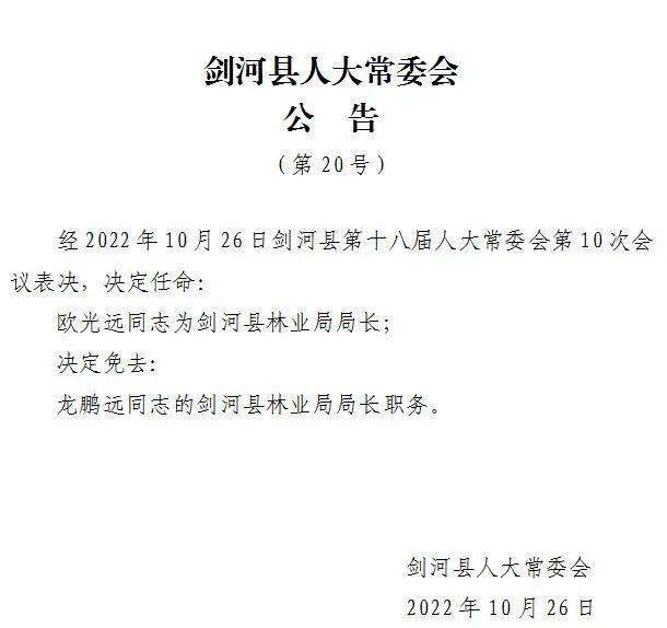 韩河村委会人事任命重塑乡村治理格局与未来展望