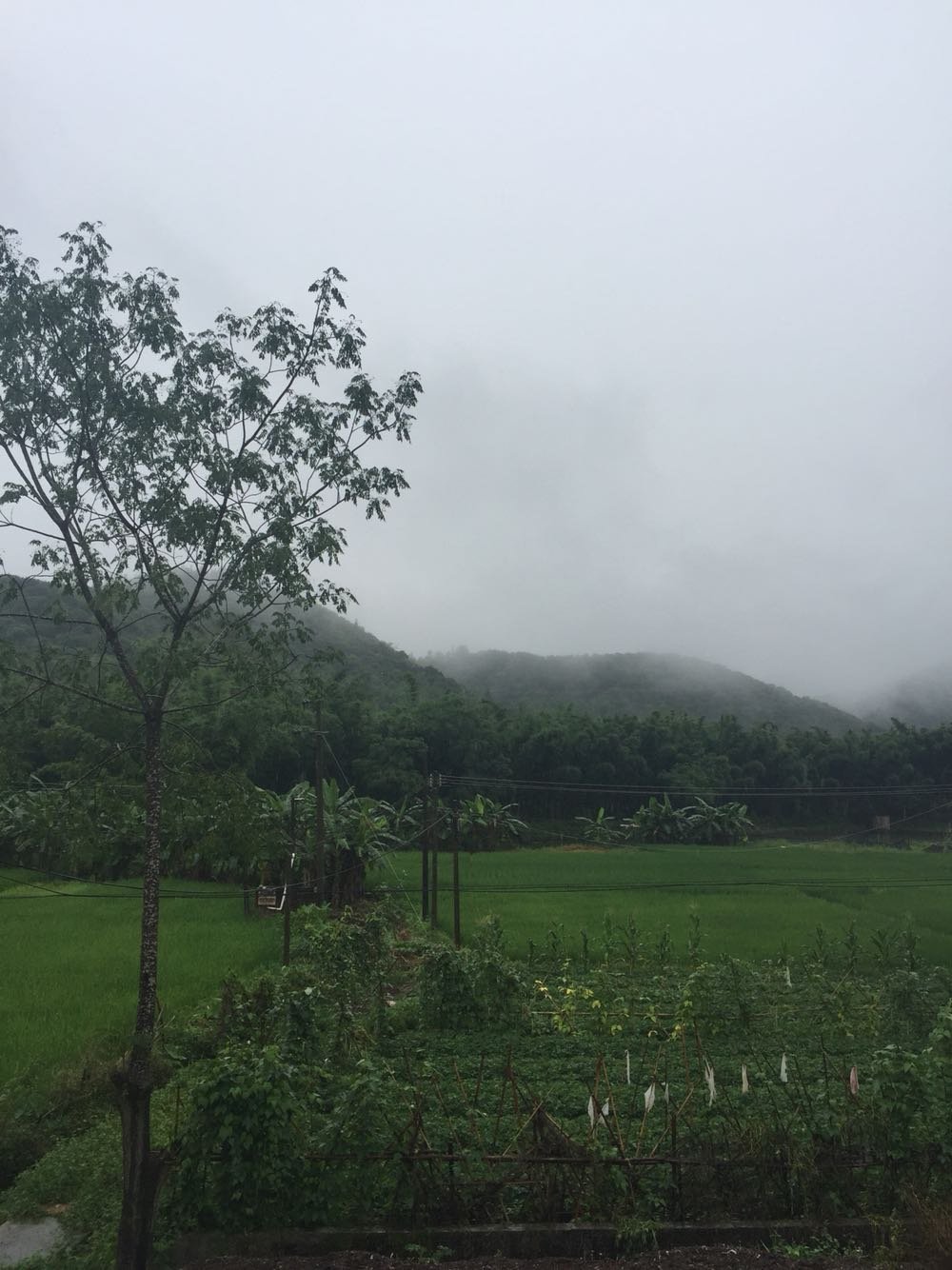 约宗村今日天气预报