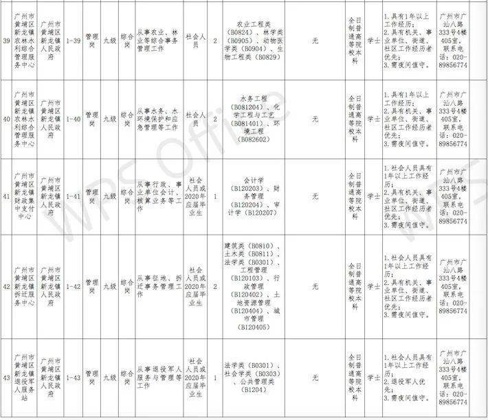 2024年12月20日 第8页