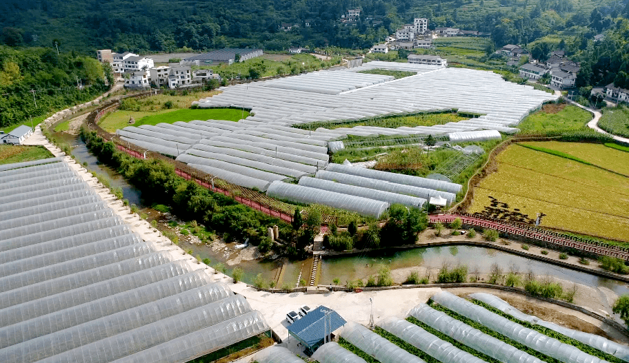 开阳县农业农村局新项目推动农业现代化助力乡村振兴