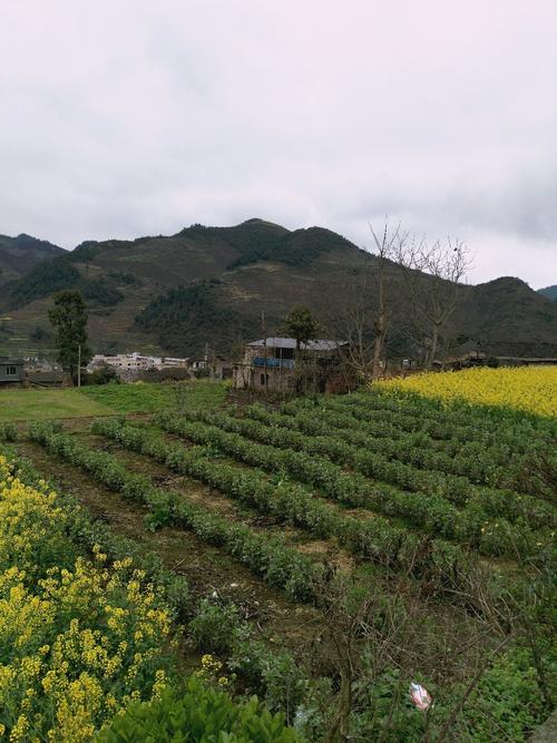 诸市乡天气预报更新通知