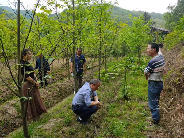 绥宁县水利局最新招聘信息全面解析