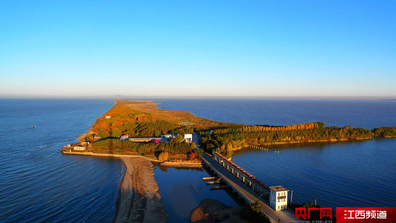 兴凯湖乡现代化交通网络助力地方经济腾飞发展新动态