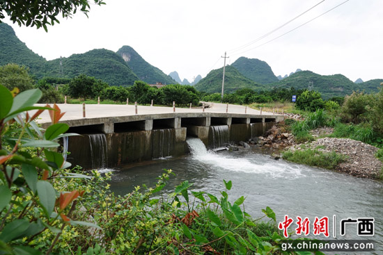 兴坪村委会最新动态报道