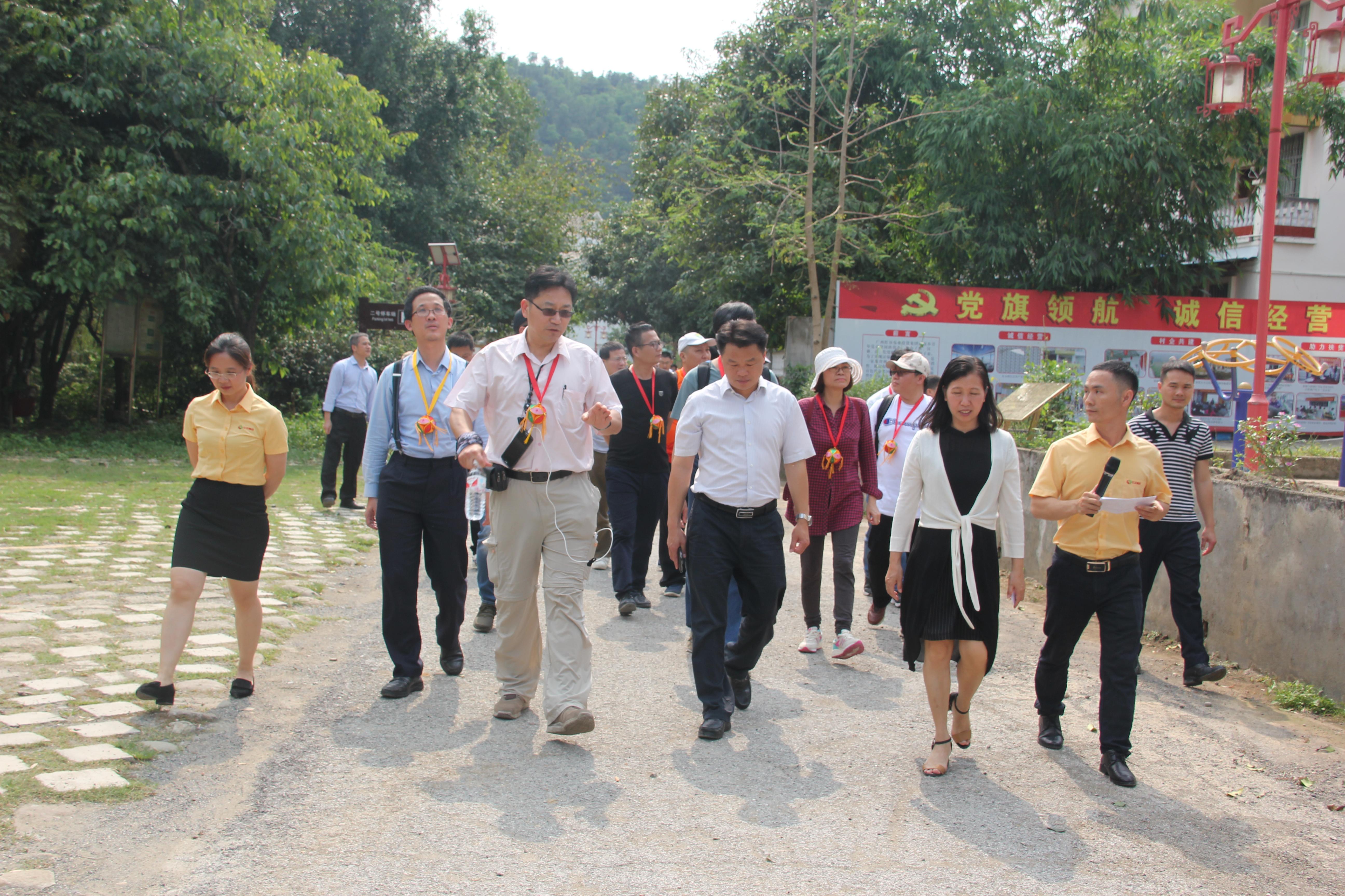 百色市文化局新项目推动文化繁荣，重塑城市魅力