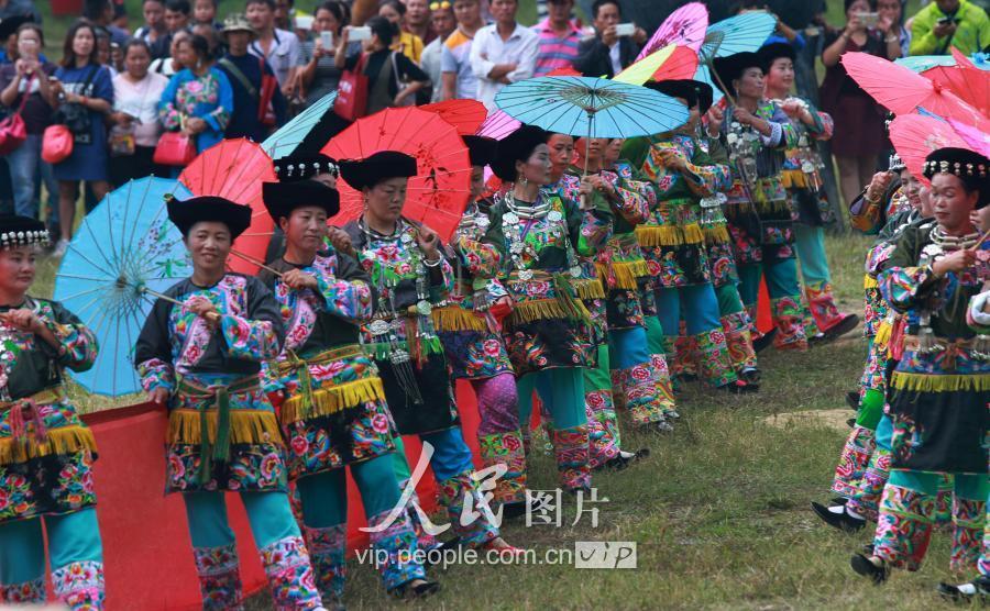 接龙镇最新项目，引领未来发展的新引擎