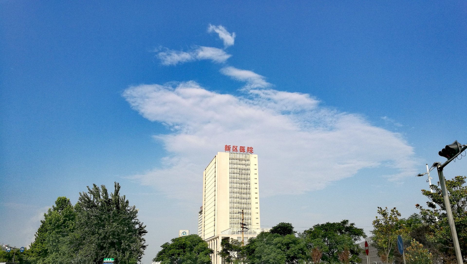 洛龙街道天气预报更新通知