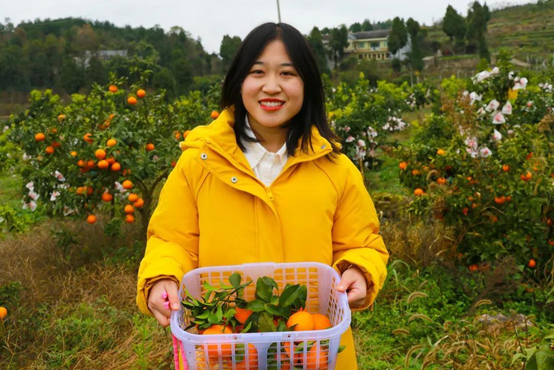 龙坝村委会发展规划，迈向繁荣和谐未来之路